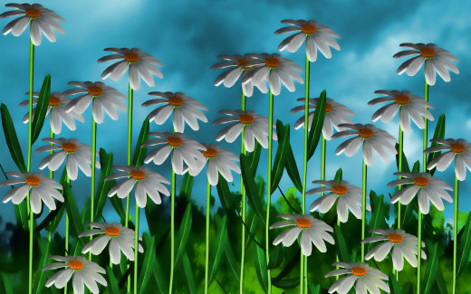 900096 (a): :1920x1200